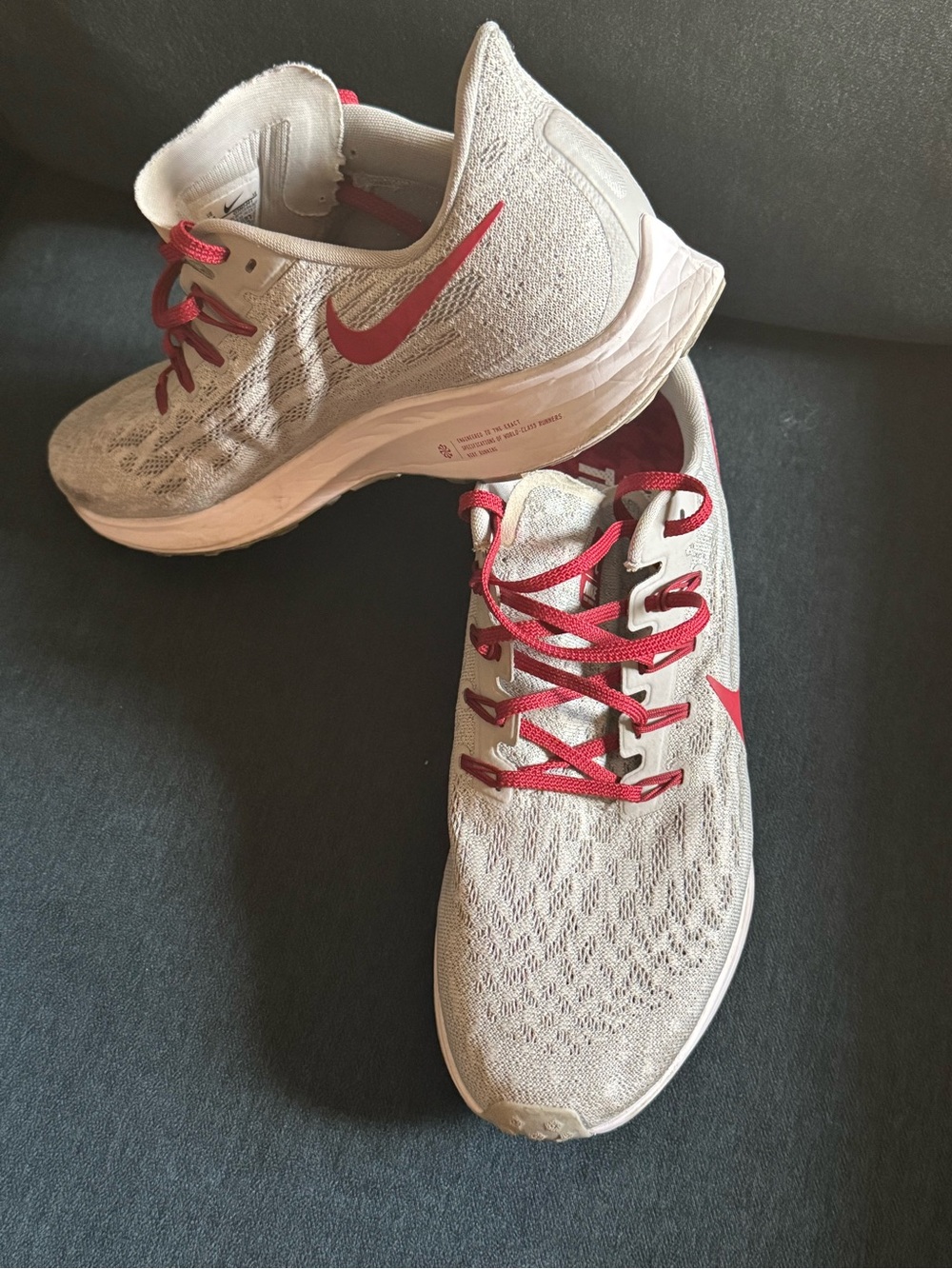 Nike Men’s Alabama Crimson Tide Light Gray and Red Running Sneakers
